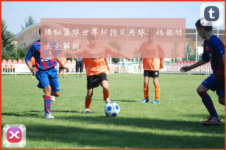 揭秘篮球世界杯指定用球:性能特点全解析