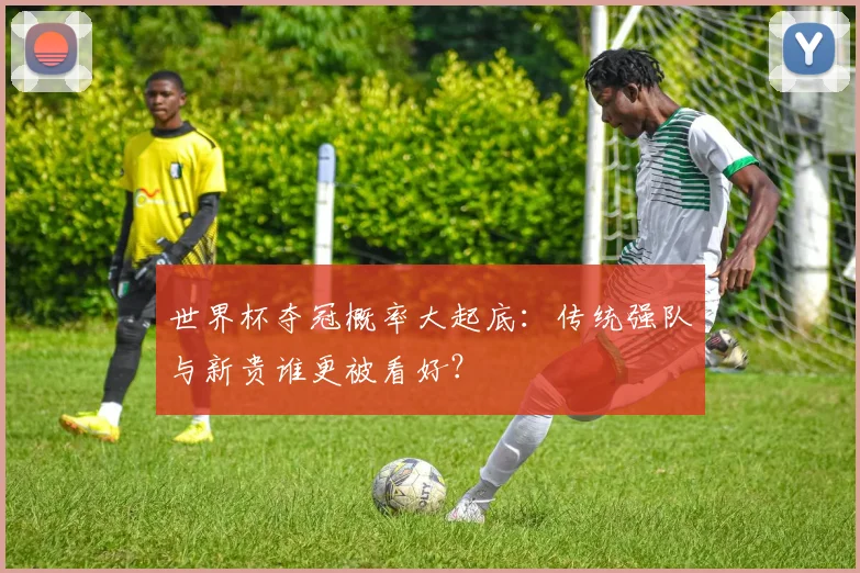 世界杯夺冠概率大起底：传统强队与新贵谁更被看好？