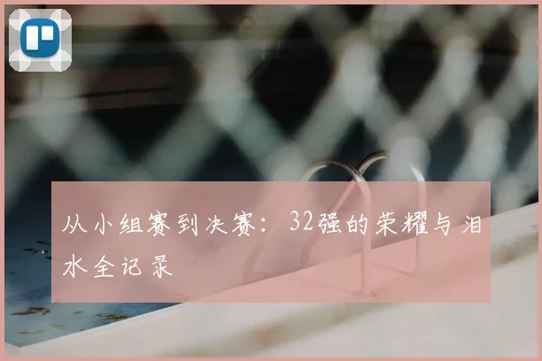 从小组赛到决赛：32强的荣耀与泪水全记录