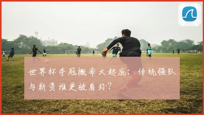 世界杯夺冠概率大起底：传统强队与新贵谁更被看好？